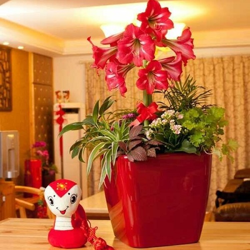 blog-1