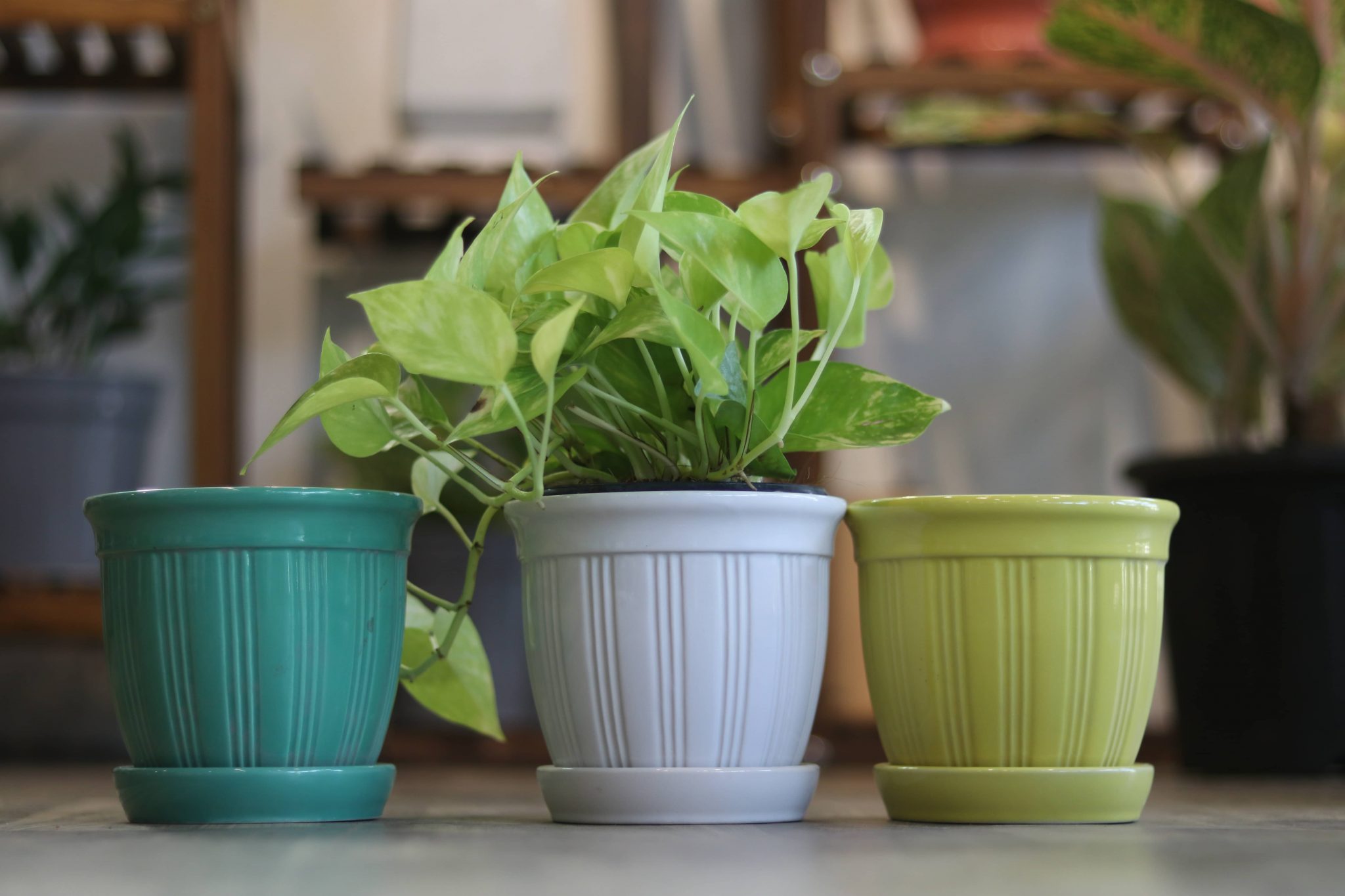 Ceramic Pots Collection Unique & Best Kenzine Garden